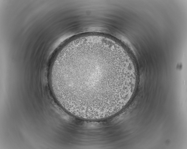 X0000089831019200707262019