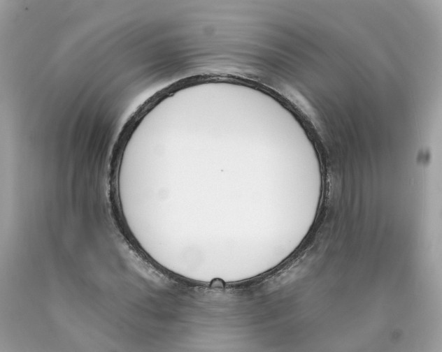 X0000089831020200707262019