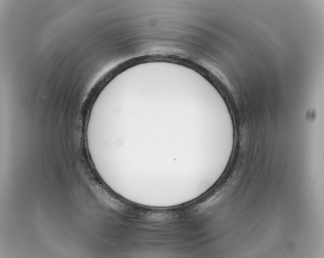 X0000089831021200707262019