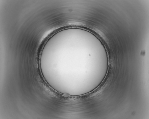X0000089831022200707262019