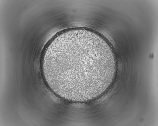 X0000089831023200707262019