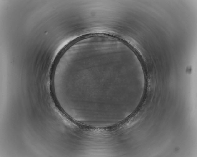 X0000089831024200707262019