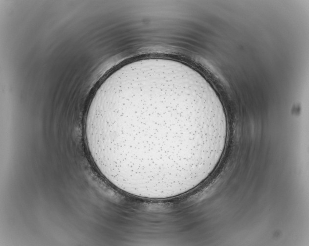 X0000089831025200707262019