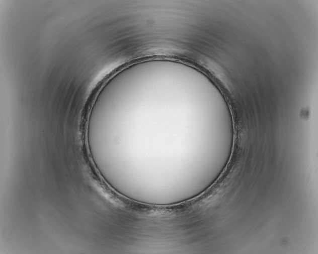 X0000089831026200707262019