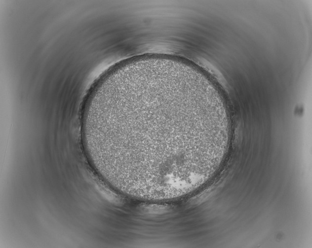 X0000089831027200707262019