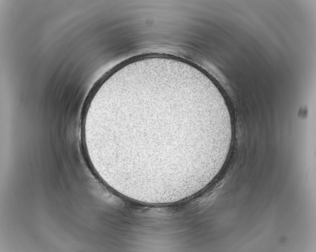 X0000089831028200707262019