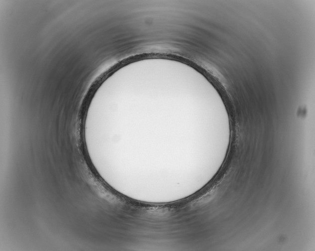 X0000089831029200707262019