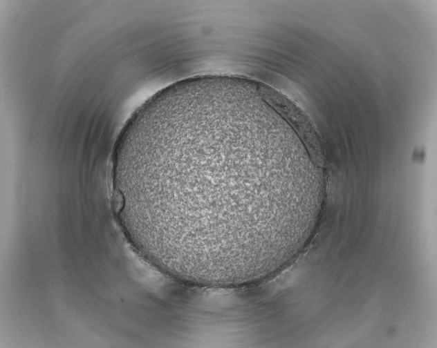 X0000089831030200707262019