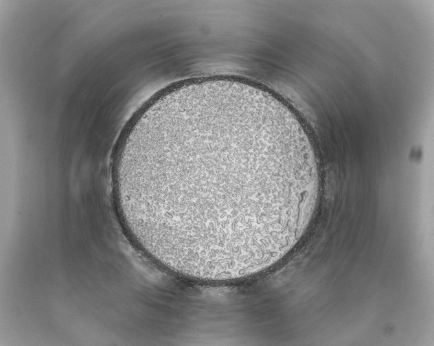 X0000089831031200707262019