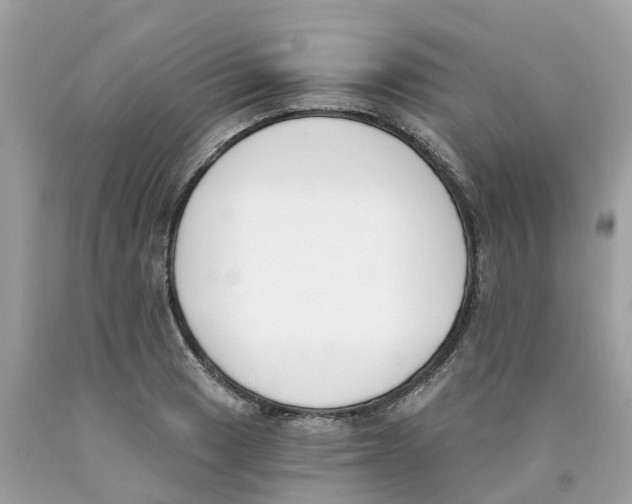 X0000089831033200707262019