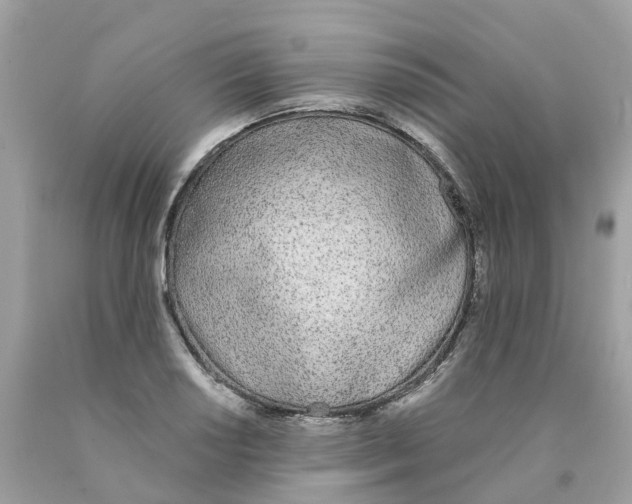 X0000089831034200707262019