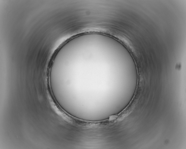 X0000089831038200707262020