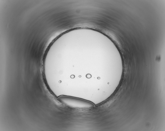 X0000089831040200707262020
