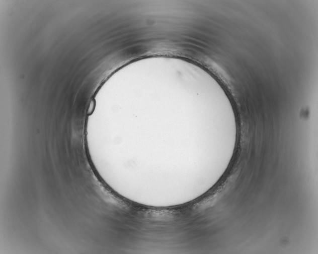 X0000089831041200707262020