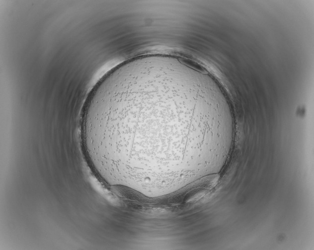 X0000089831042200707262020