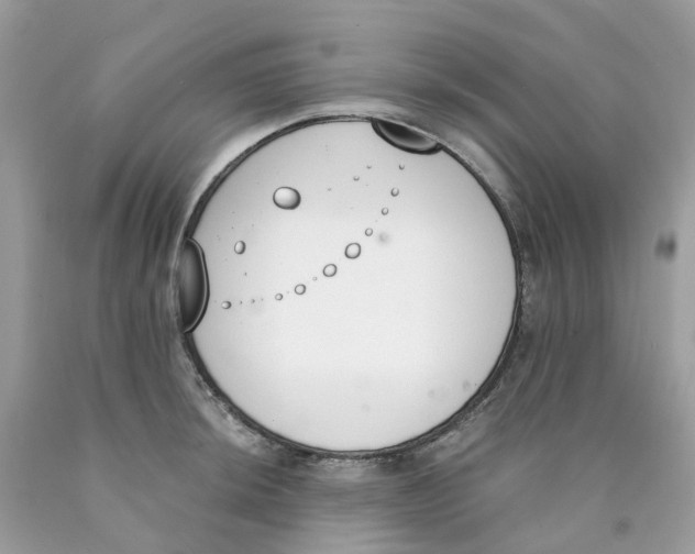 X0000089831044200707262020