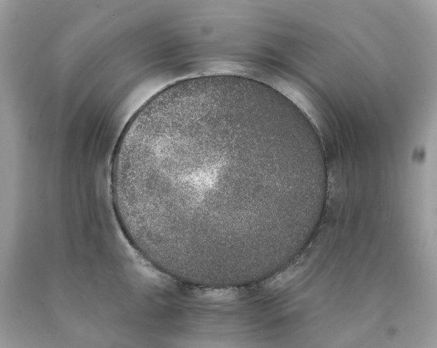 X0000089831047200707262020
