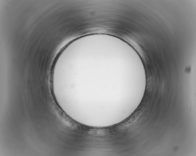 X0000089831051200707262020