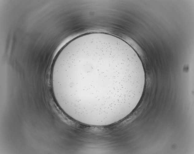 X0000089831052200707262020