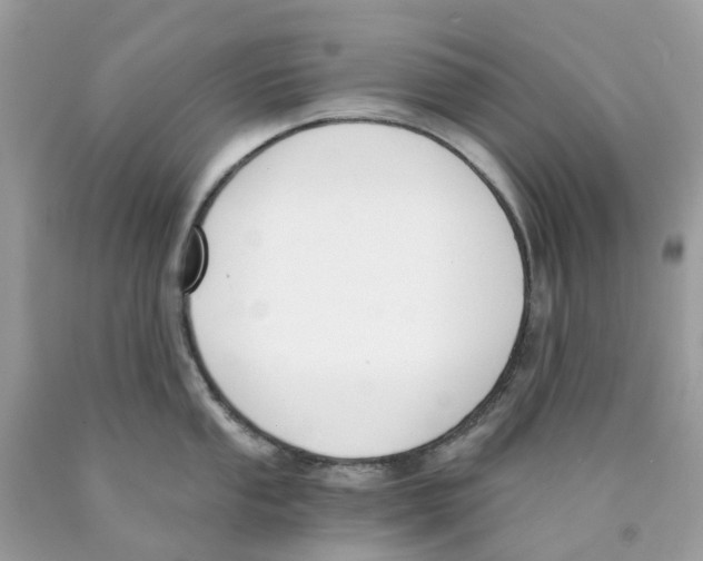 X0000089831053200707262020