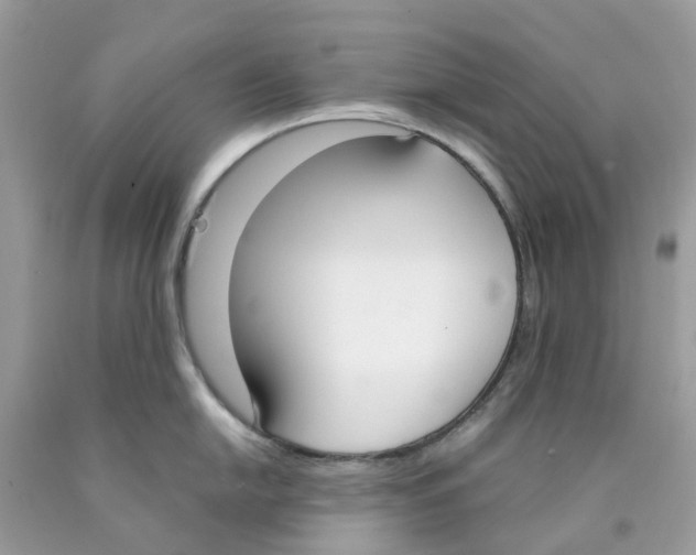 X0000089831054200707262020