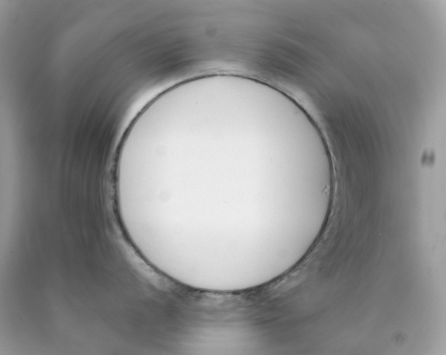 X0000089831056200707262020