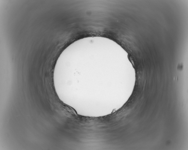 X0000089831057200707262019