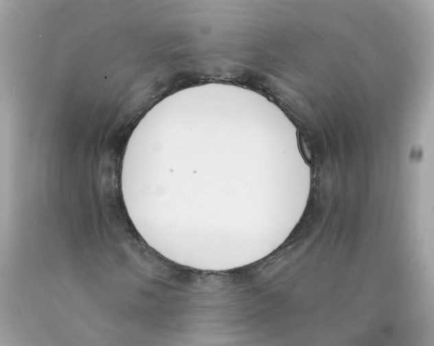 X0000089831058200707262019