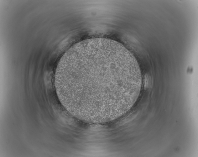 X0000089831059200707262019