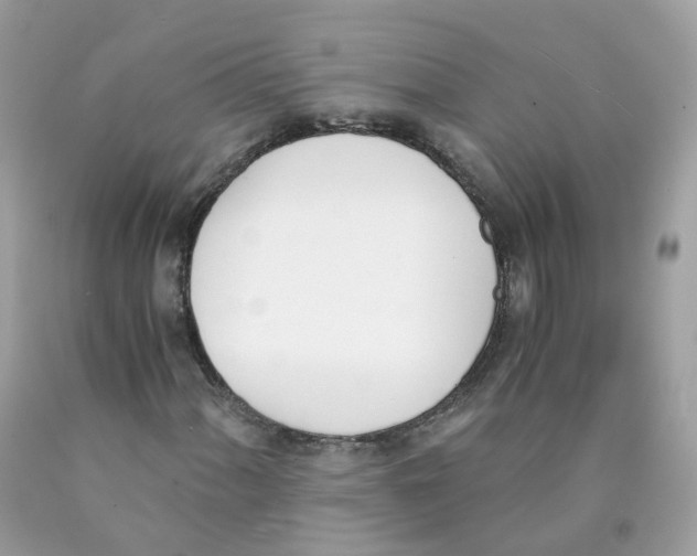 X0000089831060200707262019
