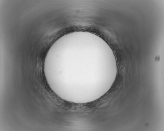 X0000089831061200707262019