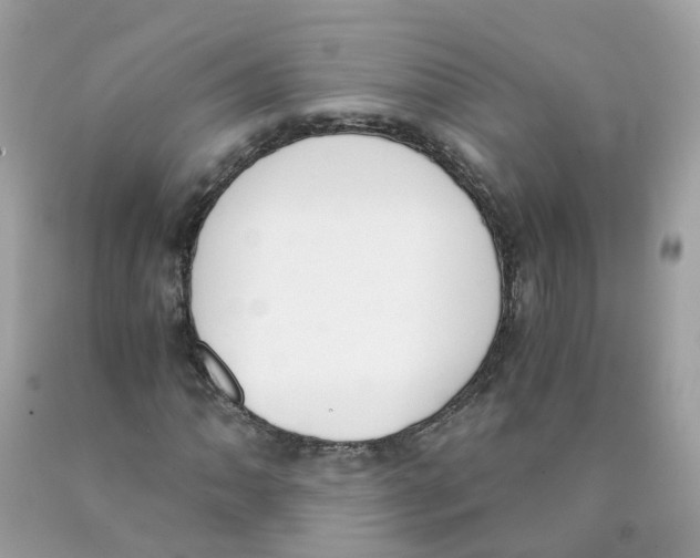 X0000089831062200707262019