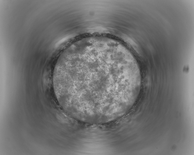 X0000089831063200707262019