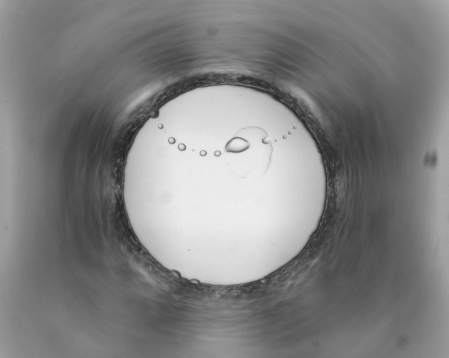X0000089831064200707262019