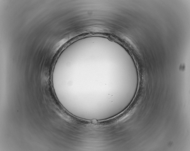 X0000089831065200707262019