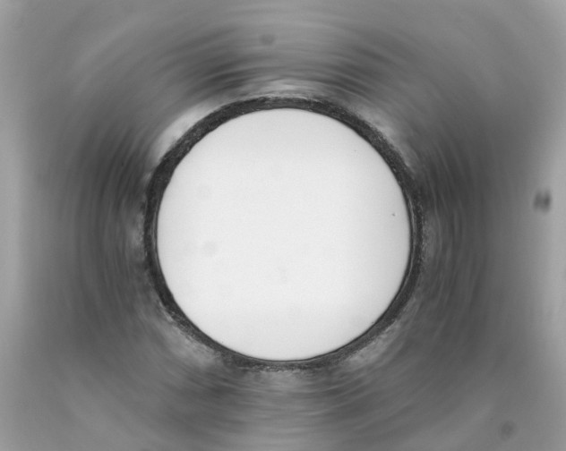 X0000089831066200707262019