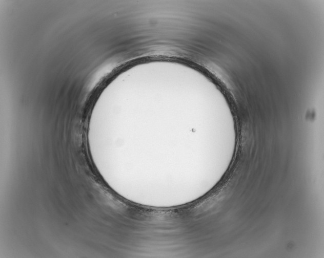 X0000089831067200707262019