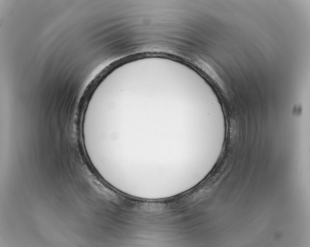 X0000089831068200707262019