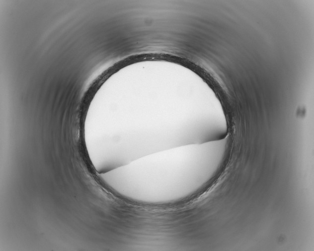 X0000089831069200707262019
