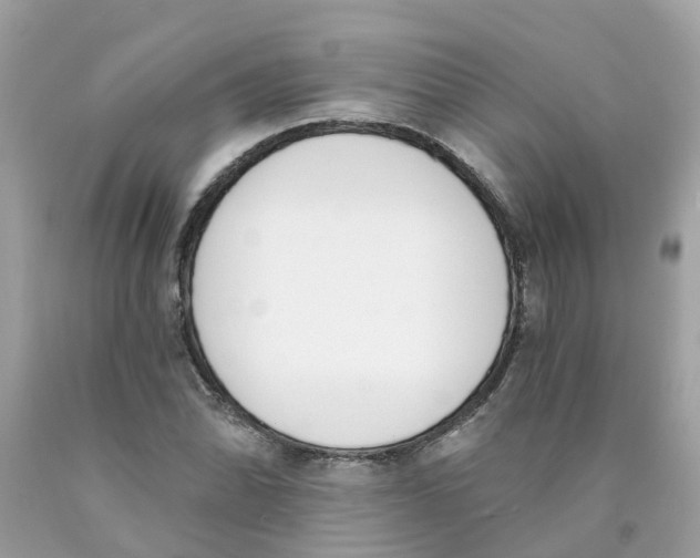 X0000089831070200707262019