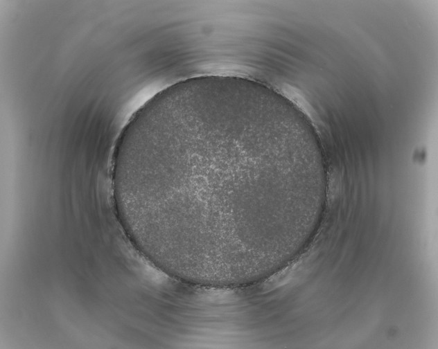 X0000089831071200707262019