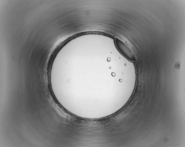 X0000089831072200707262019