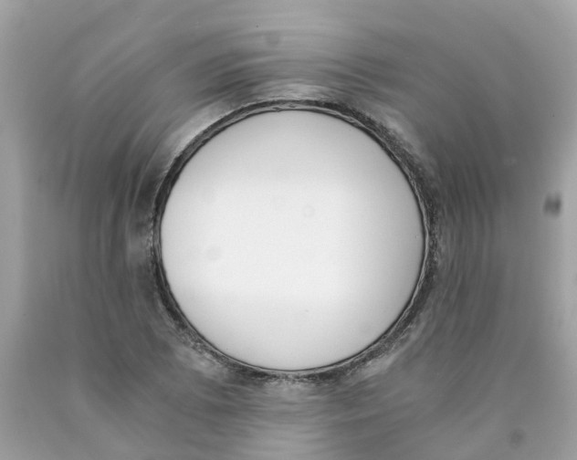 X0000089831073200707262019