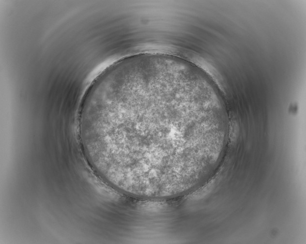 X0000089831074200707262019