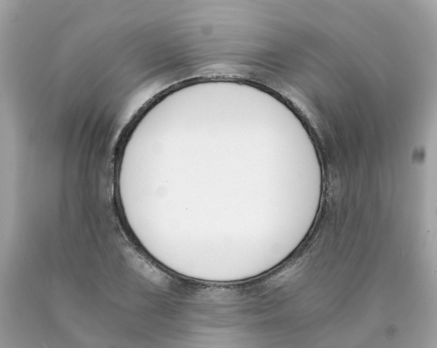 X0000089831075200707262019