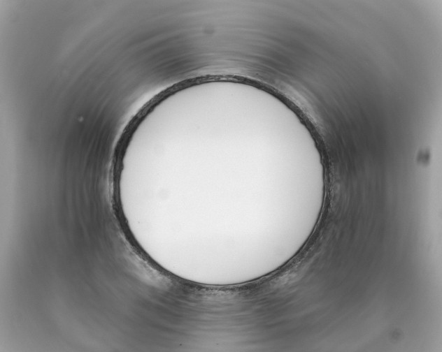 X0000089831076200707262019