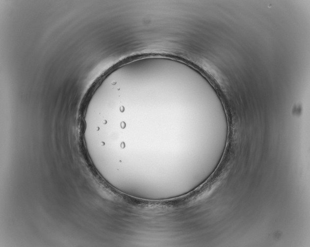 X0000089831077200707262019