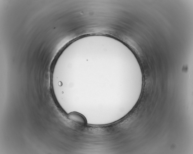 X0000089831079200707262019