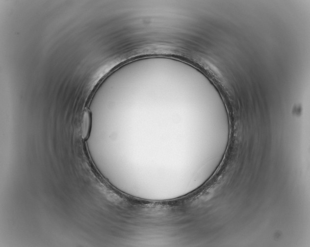 X0000089831081200707262019