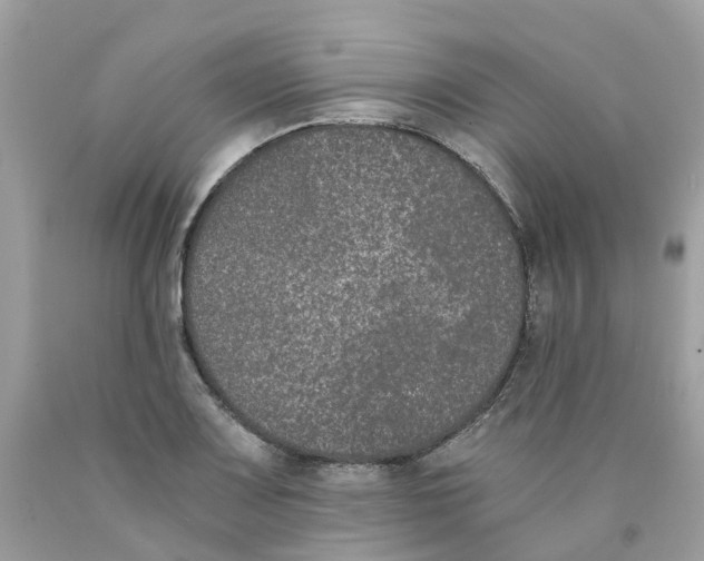 X0000089831083200707262019